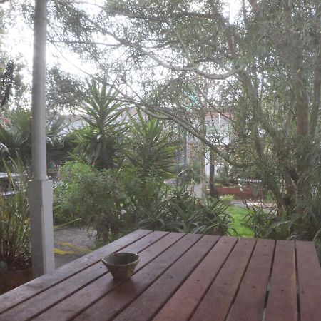 Oasis Accommodation Opotiki Eksteriør billede